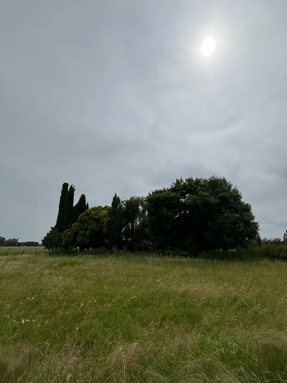 Casa en Ruta N9 km 135