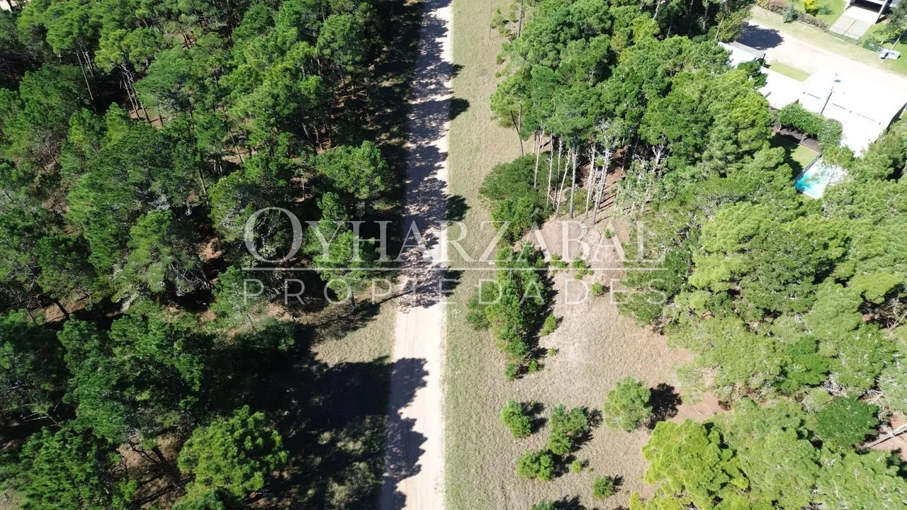Terreno en Deriva y Eneas