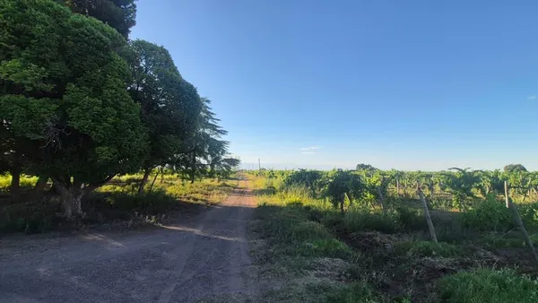 Campo en Carril San Pedro S/Nº