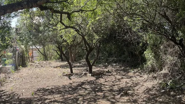 Terreno en Los Cocos S/N - El Manzano -
