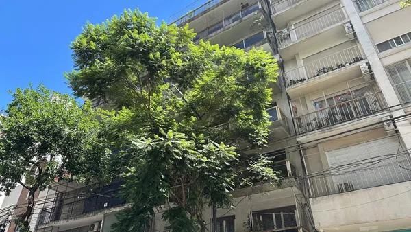 Departamento en Lavalleja al 200