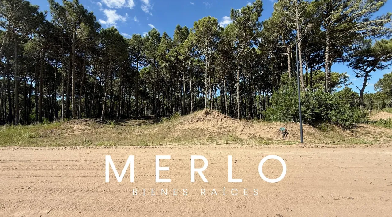 Terreno en Bosques 11