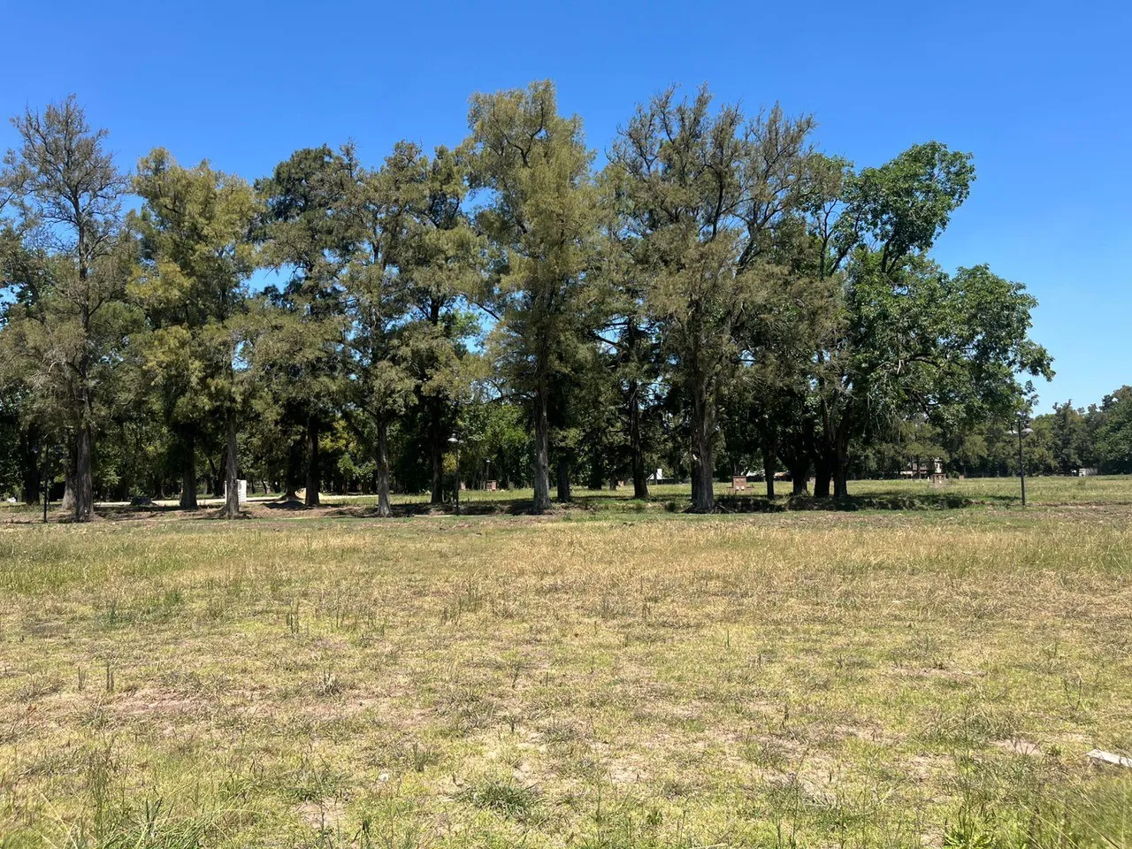 Terreno en Almahue Pilar, La Lonja, Pilar
