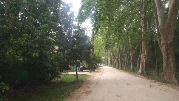 Terreno en Eva Peron al 3300