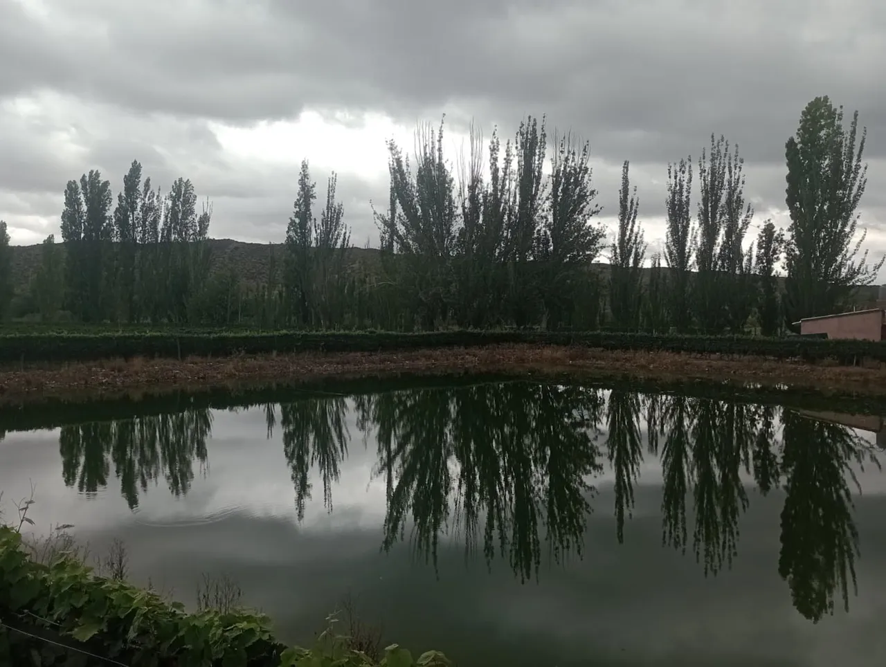 Campo en Olavarria al 2000