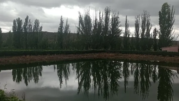 Campo en Olavarria al 2000