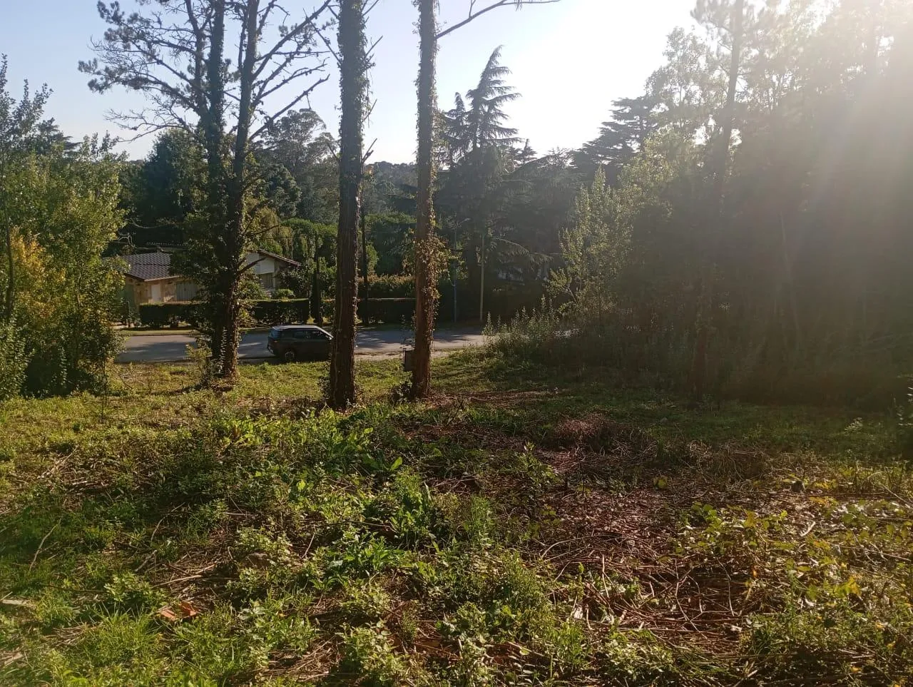 Terreno en Terreno en Sierras de los Padres
