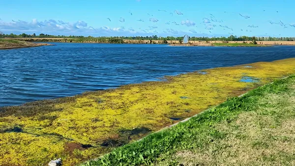 Terreno en Venta Lote a la laguna Amarras Puertos