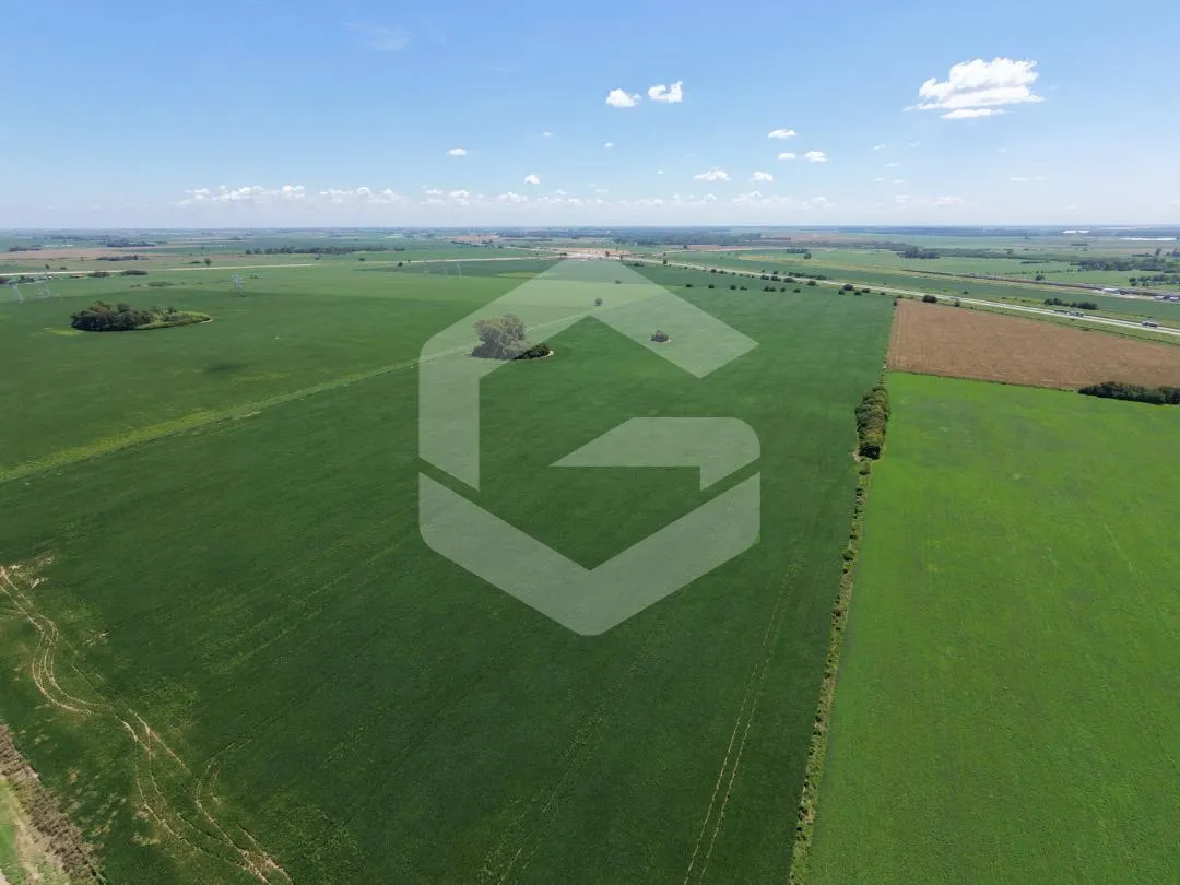 Campo en Venta - Campo La Rivera