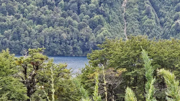 Terreno en Lago Hermoso Fracción C Lote 14