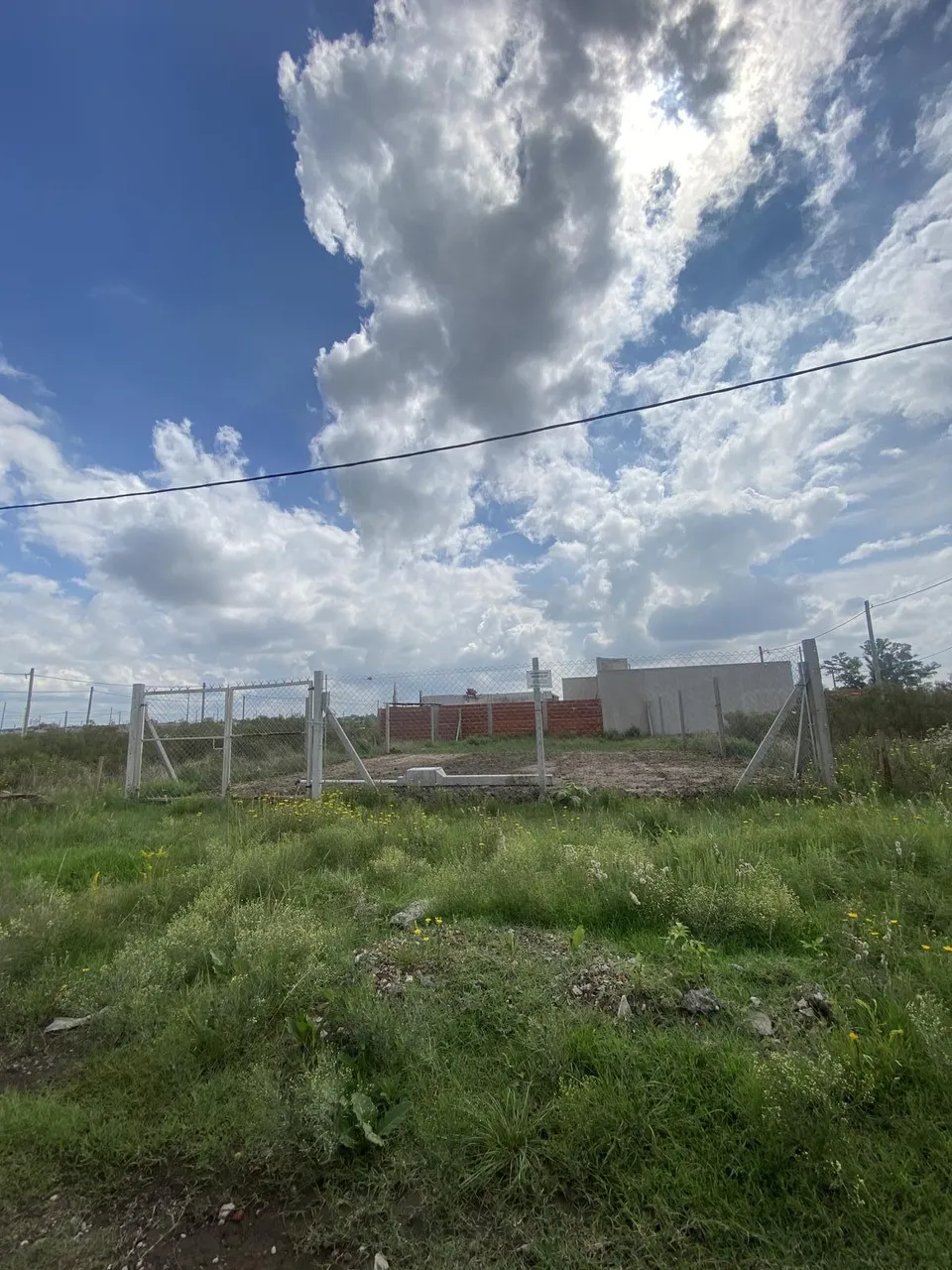 Terreno en LOTE en 19 entre 98 y 600