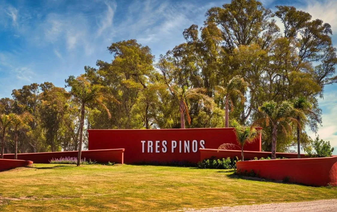 Terreno en Ruta 6 km 142, Barrio Tres pinos