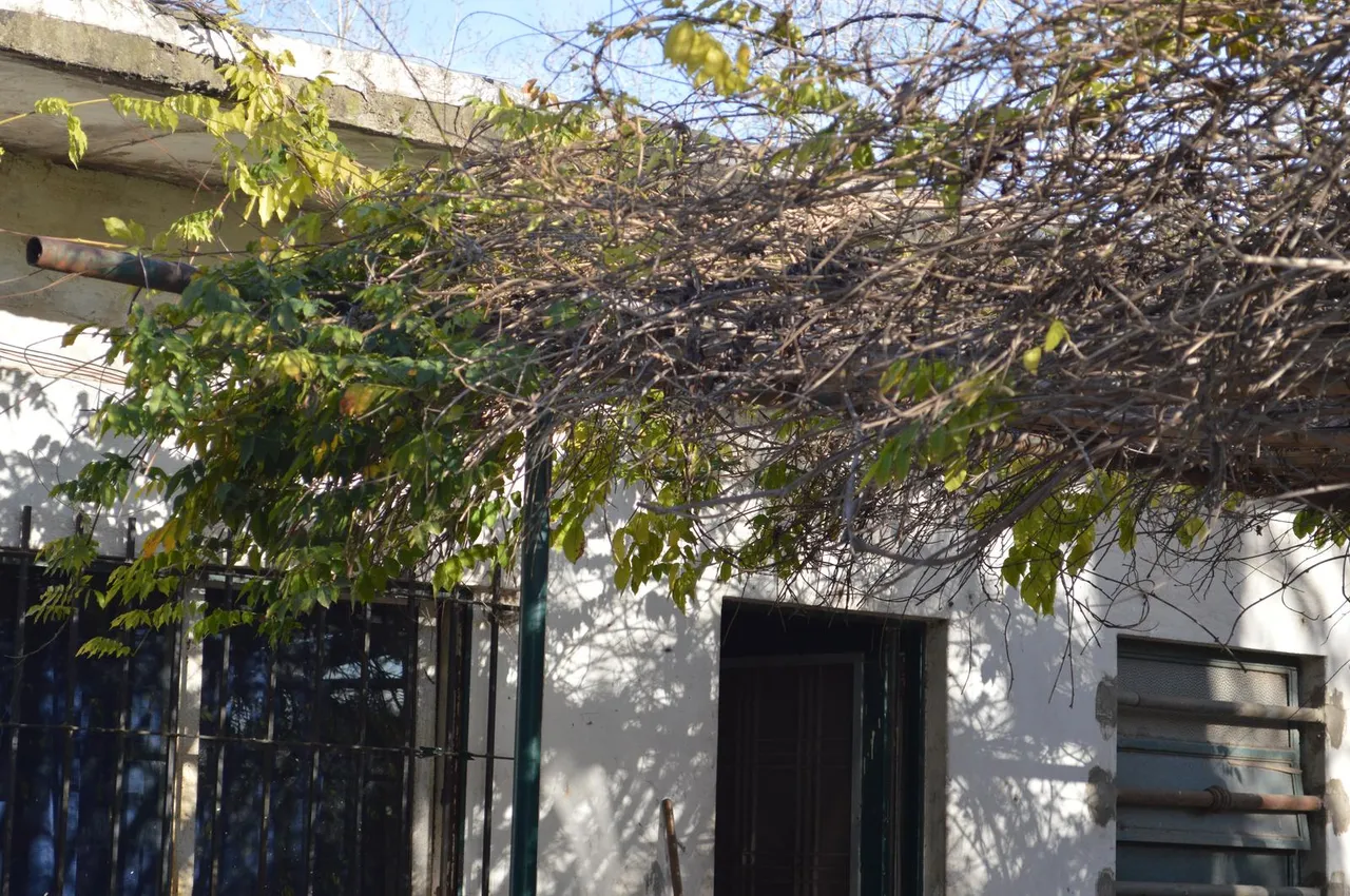 Terreno en MAFFIA (WASHINGTON) al 1200