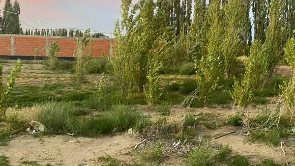 Terreno en Loteo barrio Los Alamos