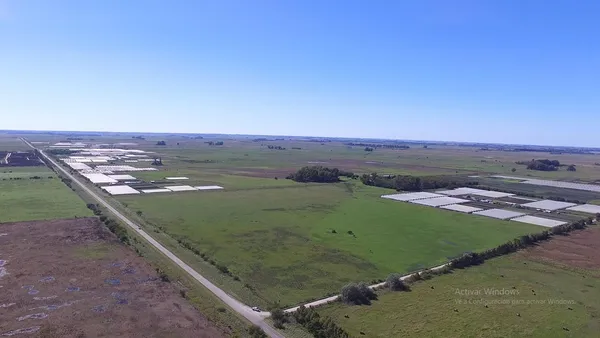 Campo en 600 Has. Sobre Ruta 36