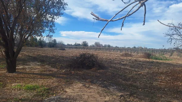 Terreno en CARRIL BUEN ORDEN al 900