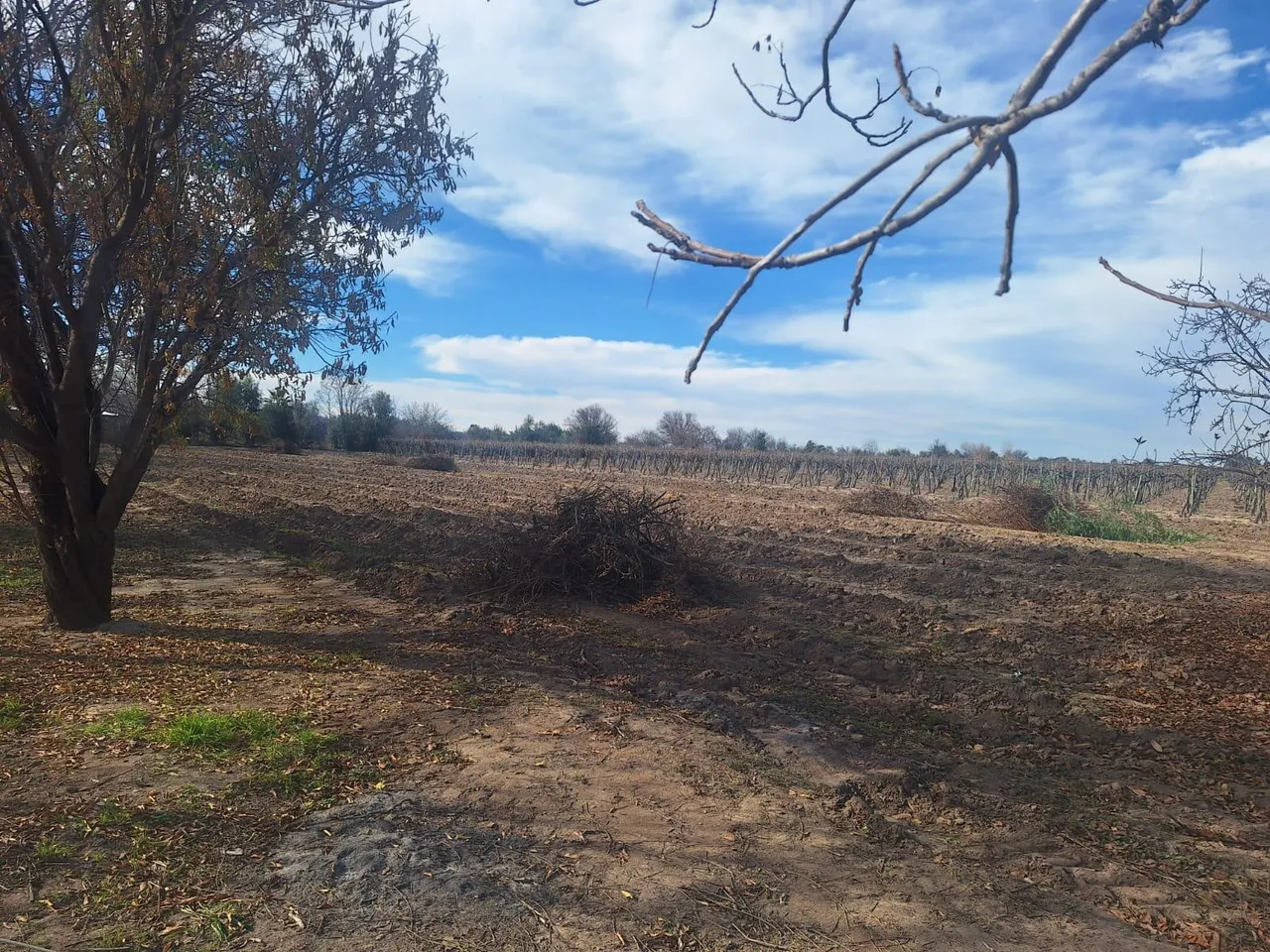 Terreno en CARRIL BUEN ORDEN al 900