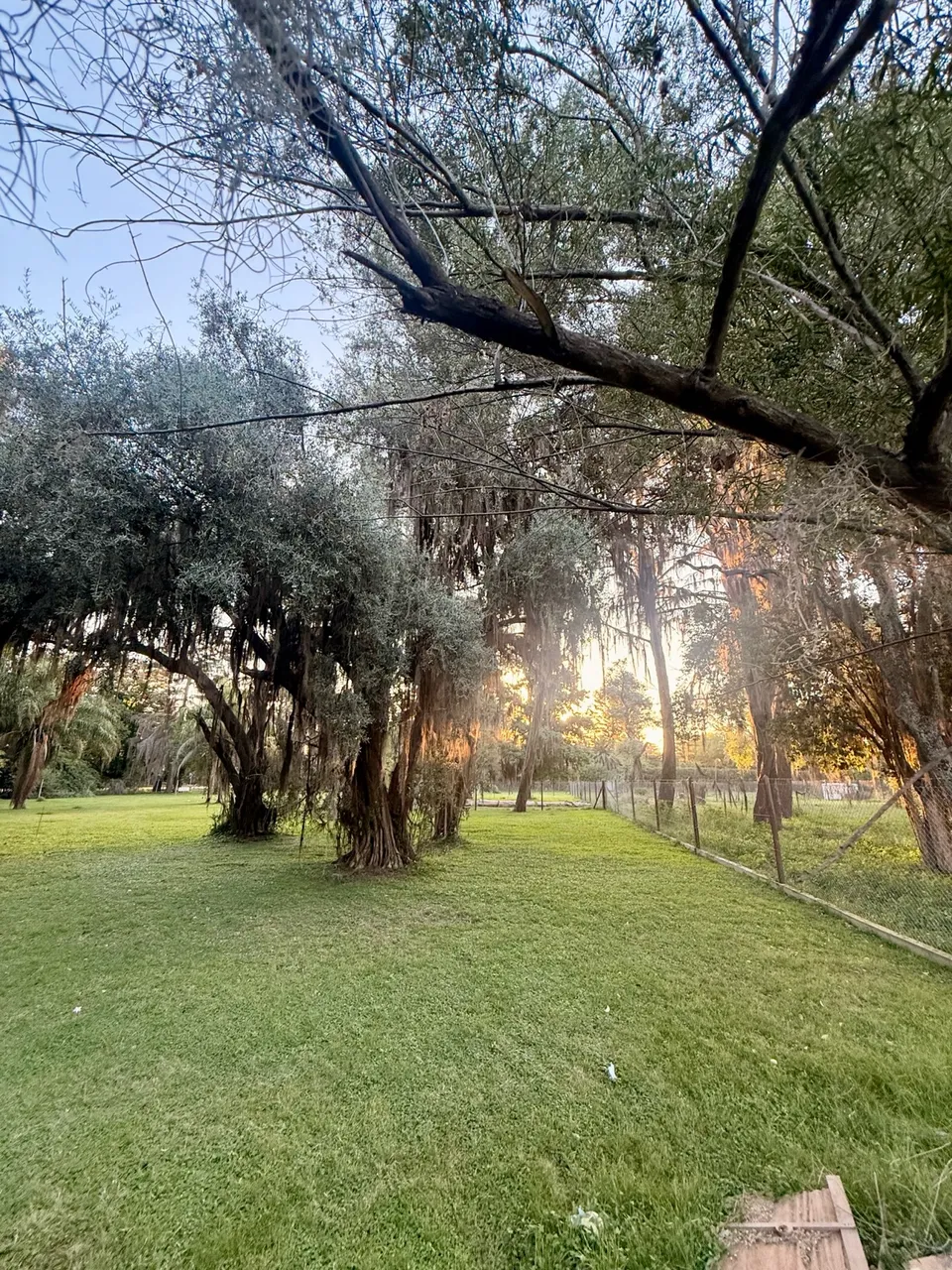 Terreno en Pedro de Angelis al 2000