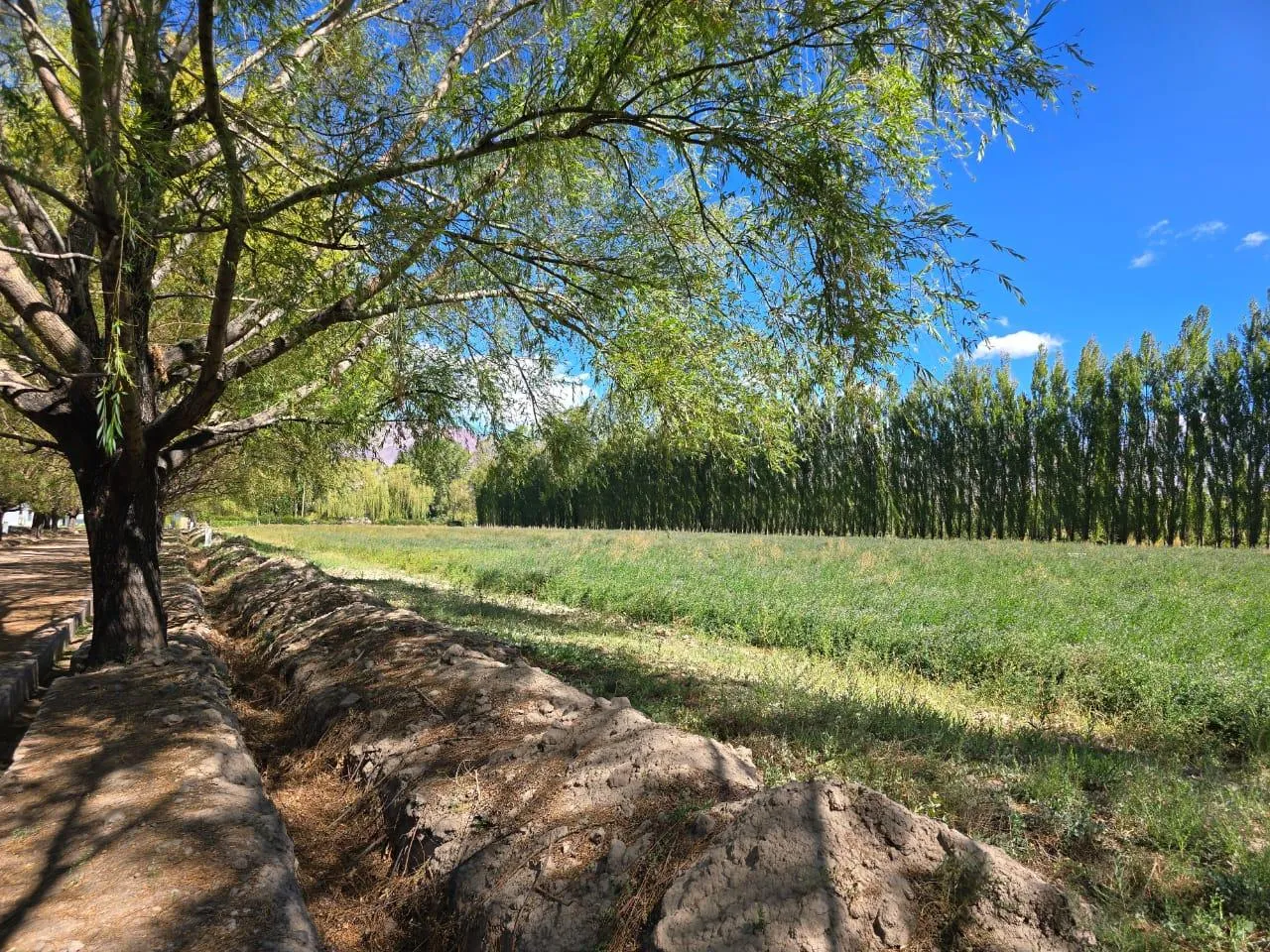 Terreno en Barrio Los 4 Elementos