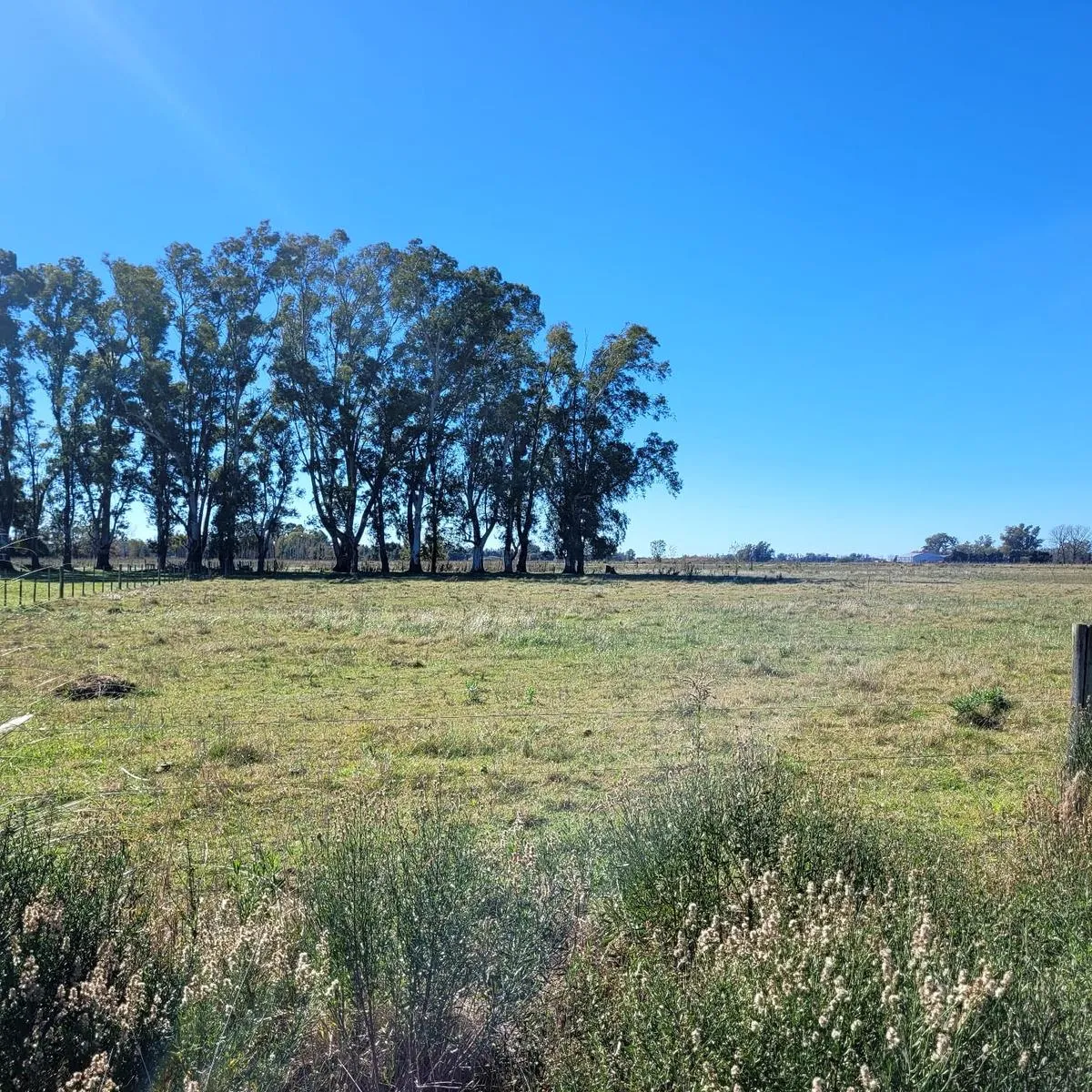 Terreno en Ruta 5 km 108
