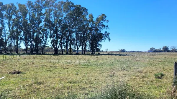 Terreno en Ruta 5 km 108
