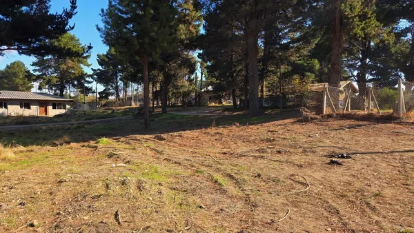Terreno en Los Nogales y La Petunia