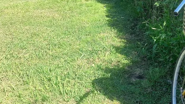 Terreno en La Lonja Los Aromos al 3800