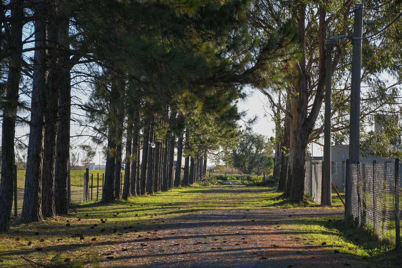 Terreno en Barrio El Amanecer, Piñero
