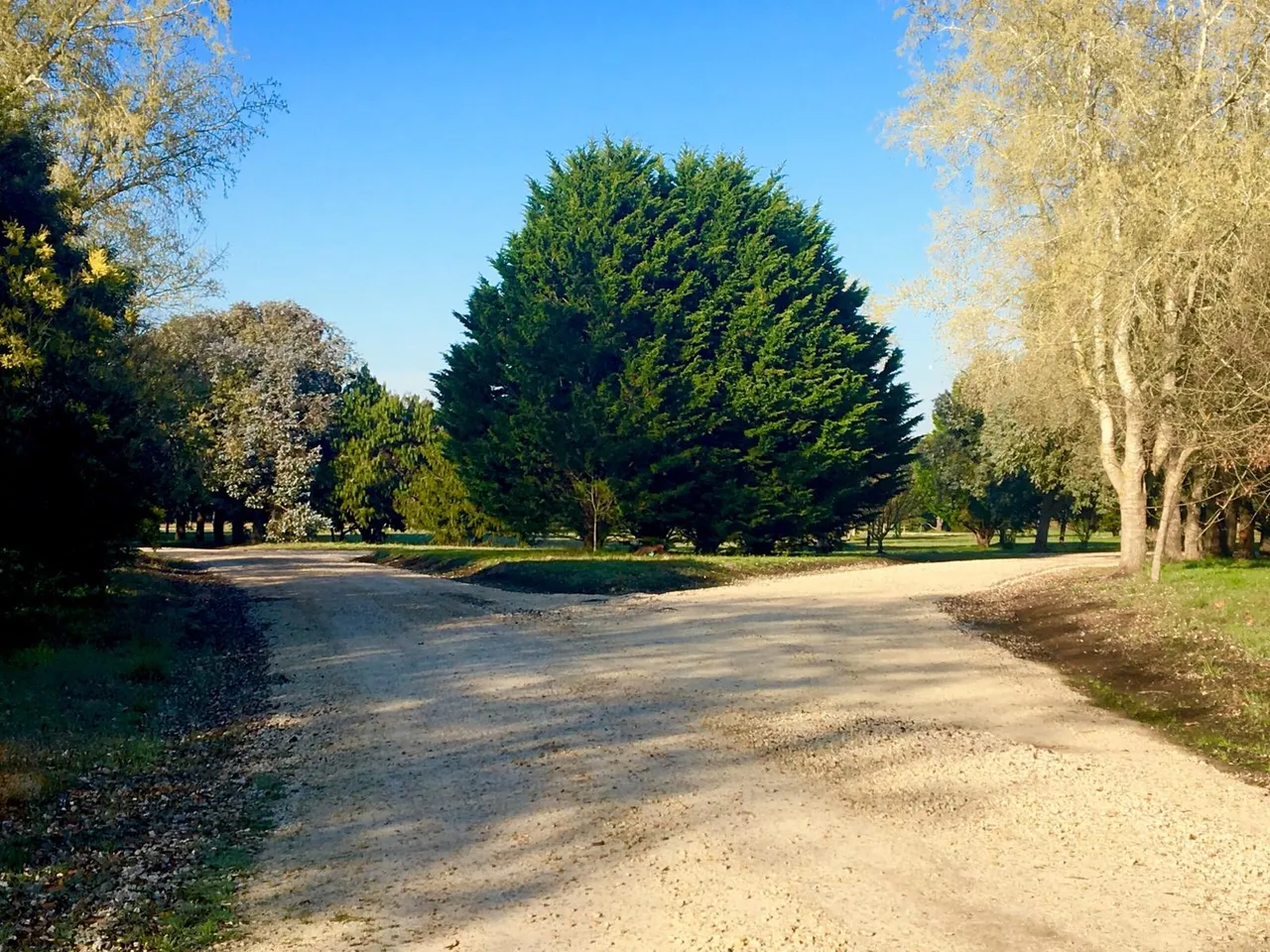 Terreno en Barrio Pinares de Santa Clara. Lote 1, Manzana 21. Ruta 11, Km 495. Santa Clara del Mar. Partido de Mar Chiquita. Costa Atlántica. Argentina.