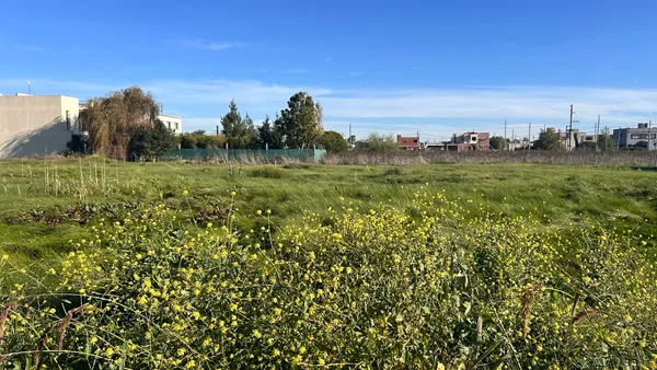 Terreno en 3 entre 489 y 490