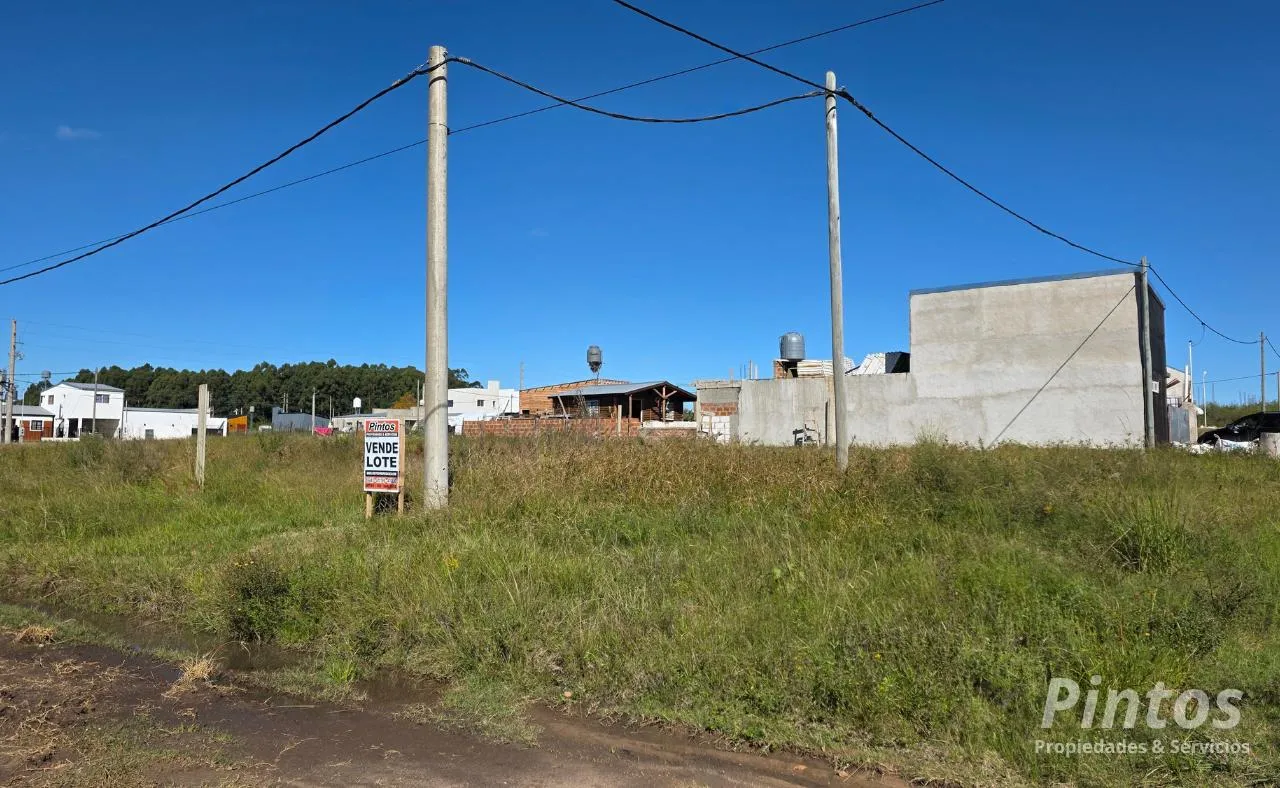 Terreno en Favre esquina Moreno