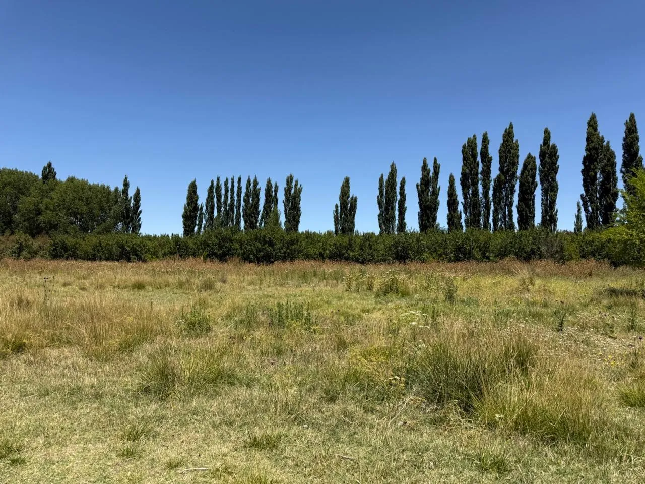 Campo en Venta 9 Hectáreas en Plottier Neuquen