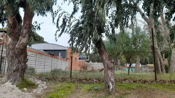 Terreno en MADARIAGA 2246