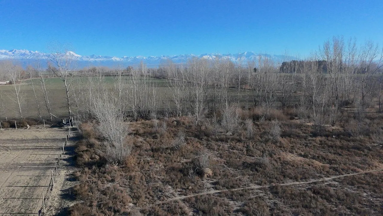 Terreno en Ruta 40 km 74 Tupungato Mendoza