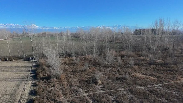 Terreno en Ruta 40 km 74 Tupungato Mendoza