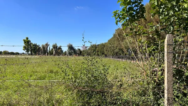 Campo en Ruta Provincial 39, (2500 mts ruta 39) Parada ORLANDO