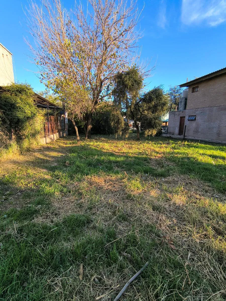 Terreno en Los Tilos 1700
