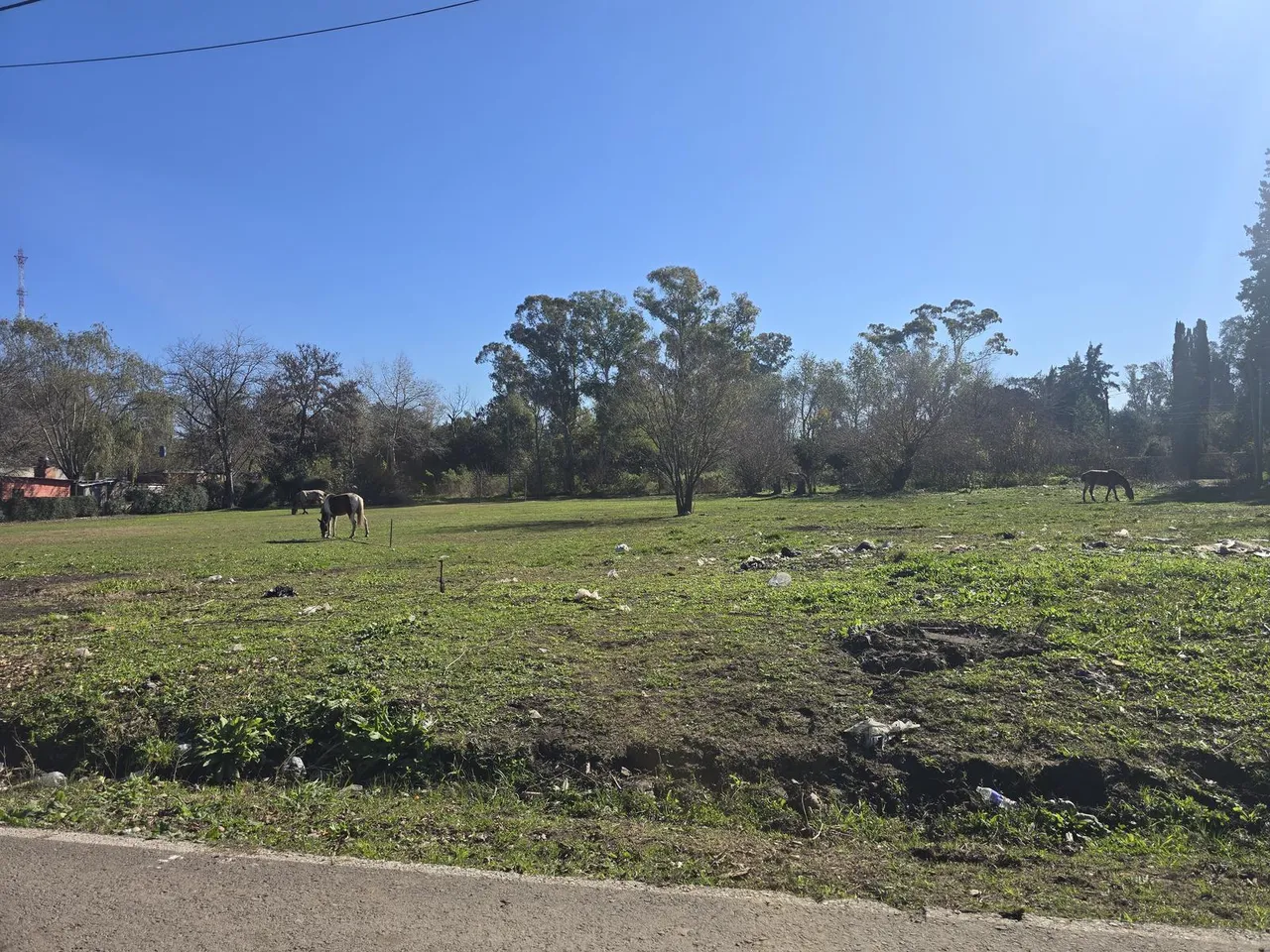 Terreno en Los Cipreces entre Cabral y Güemes