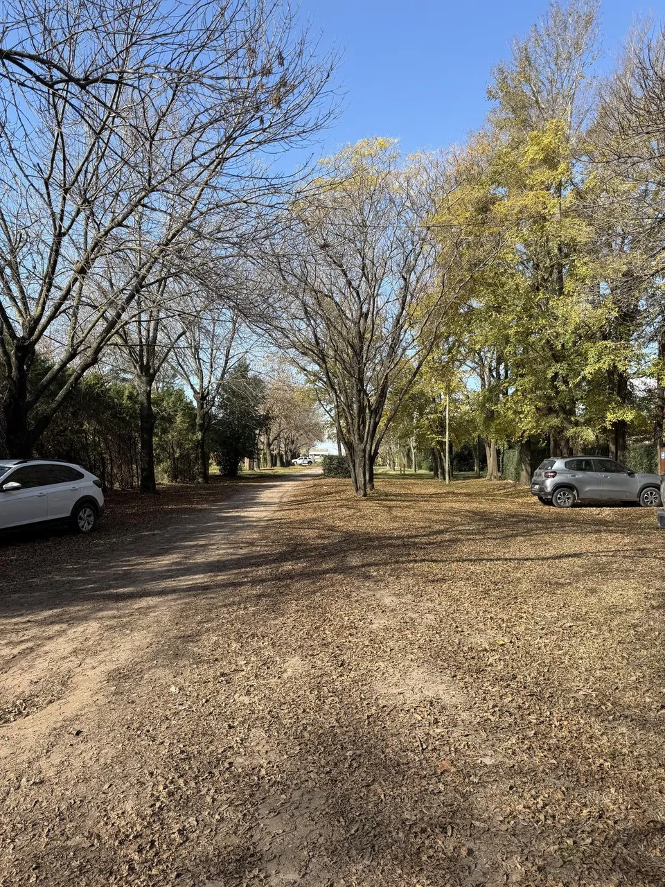 Terreno en Los Castaños 1