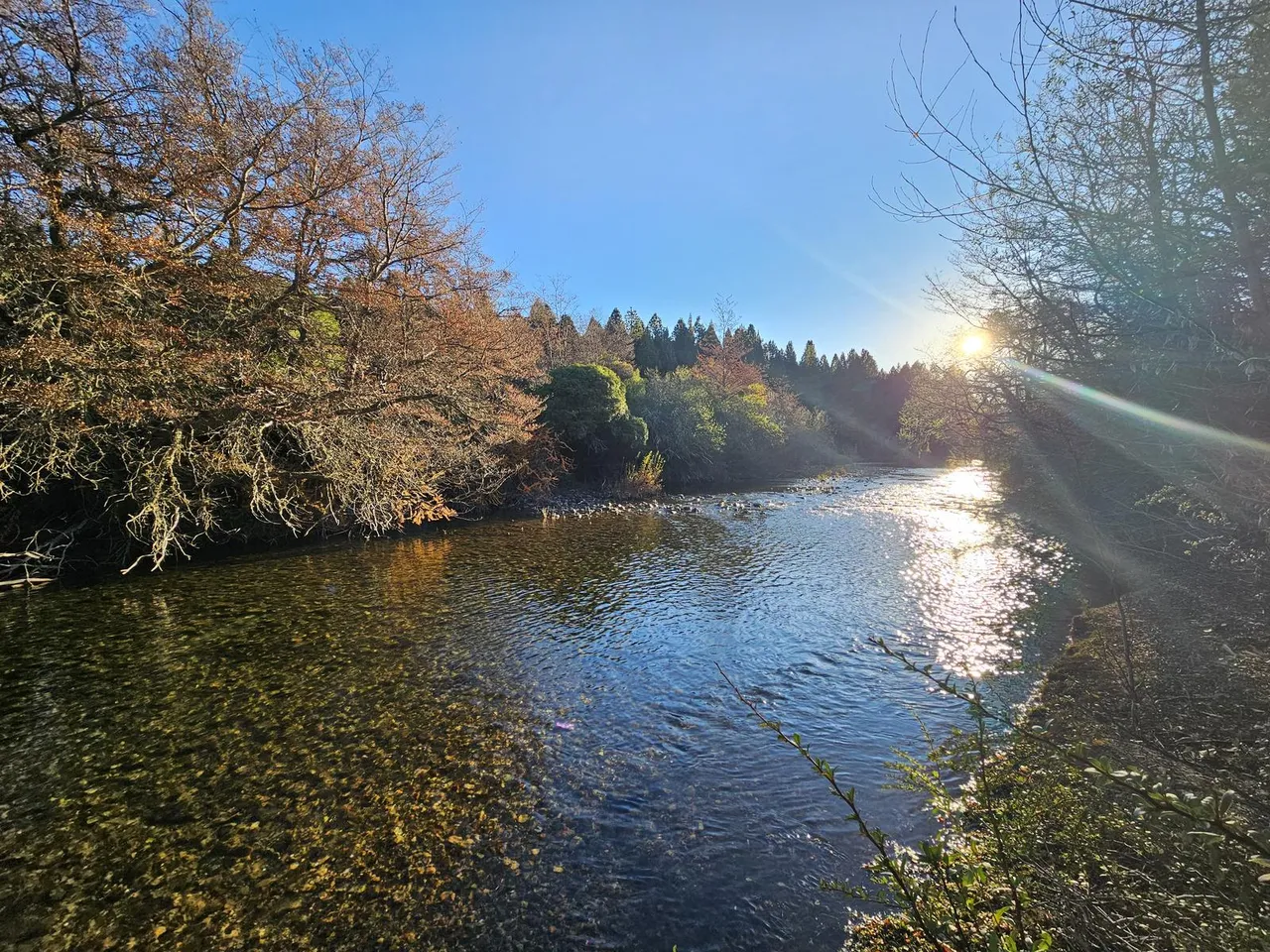 Terreno en Lote sobre el Río
