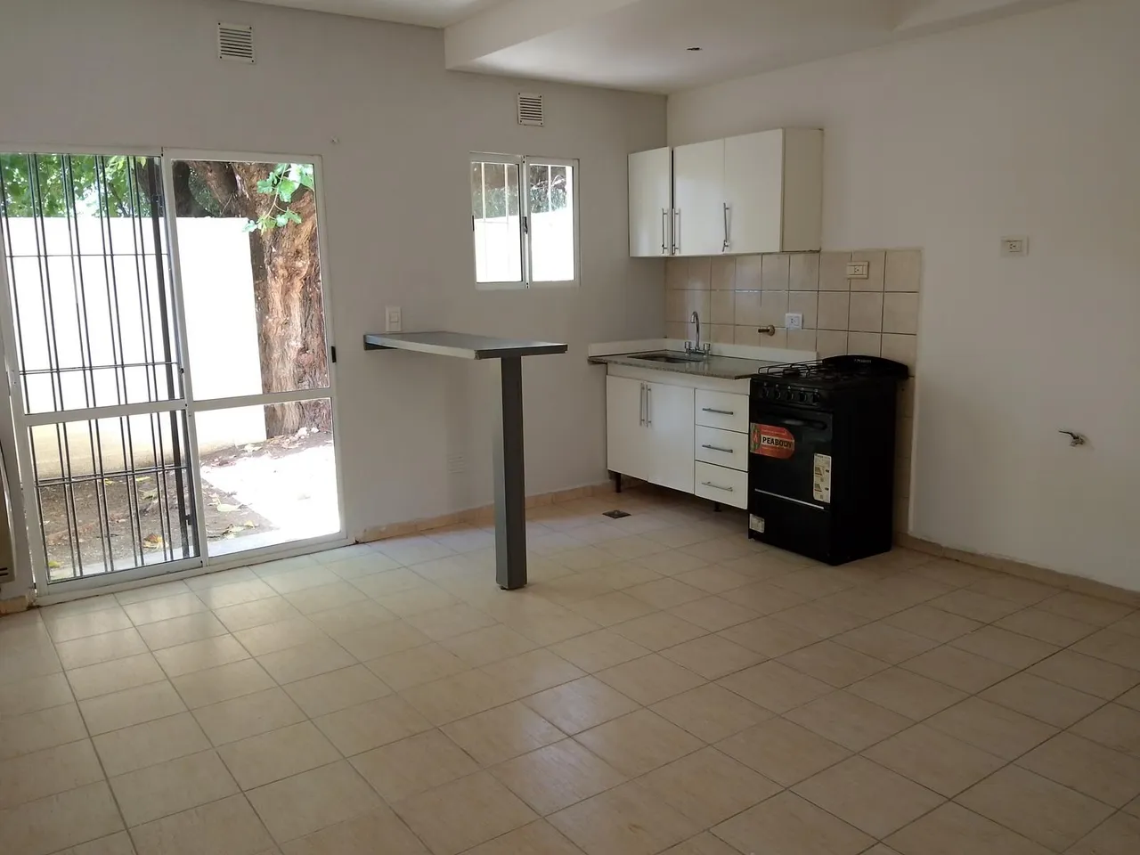 Departamento en Dr Asseff al 500