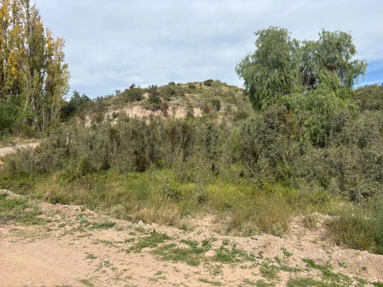 Terreno en Cerro el Melón