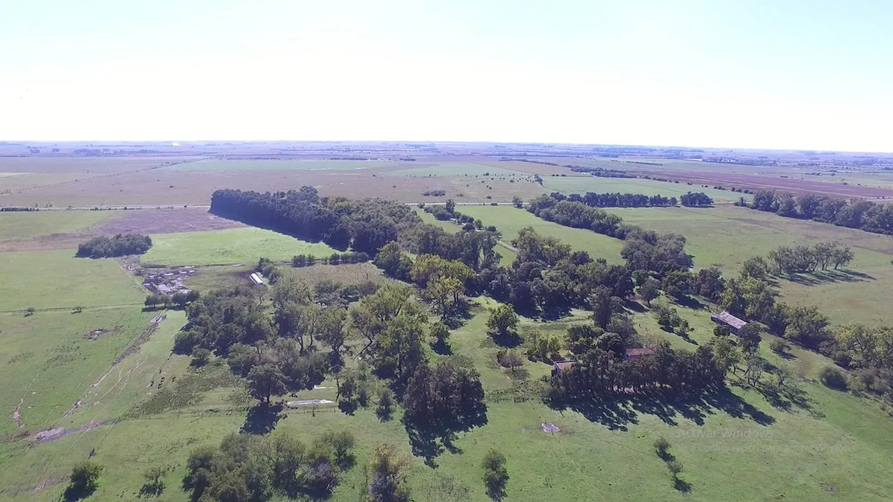 Campo en 300 Has. s/ RUTA 36