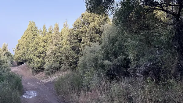 Terreno en Francisco Bernardez al 4700