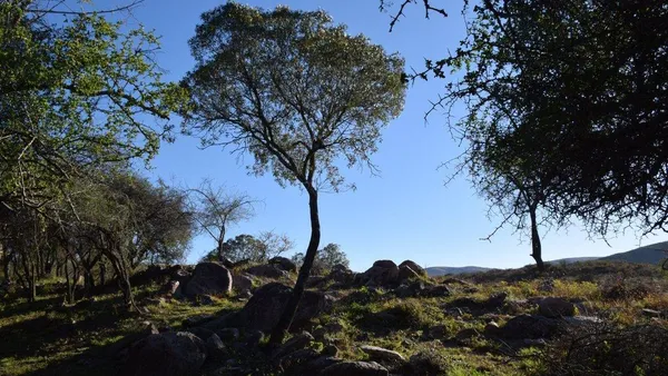 Terreno en Venta lote 2800 mts en La Granja con 60 mts de costa de río!