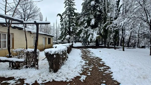 Casa en Venta Casa 5 Amb en Malargue Mendoza Camino al Dique