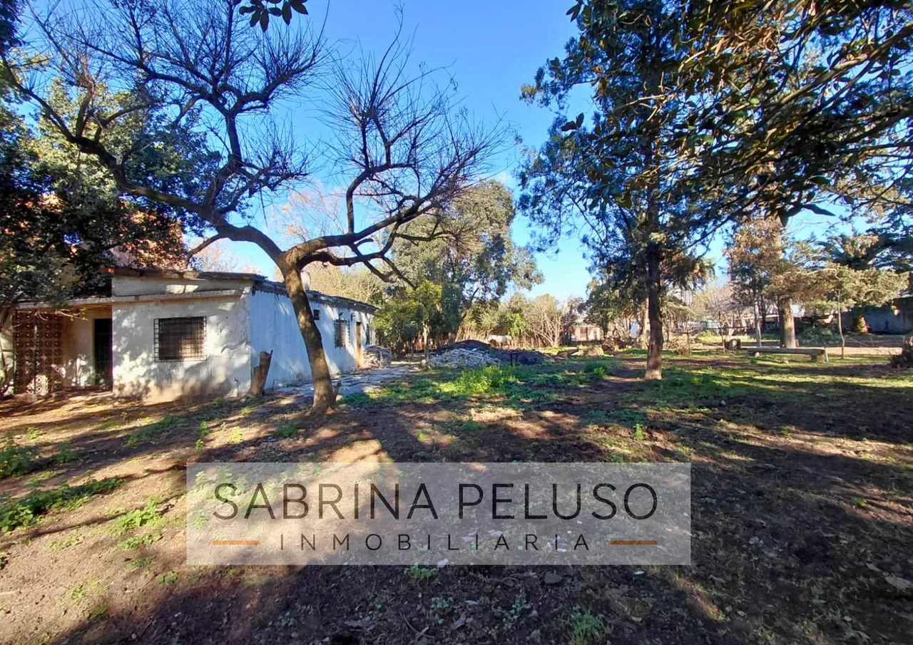 Terreno en Benvenuto Cellini al 1300