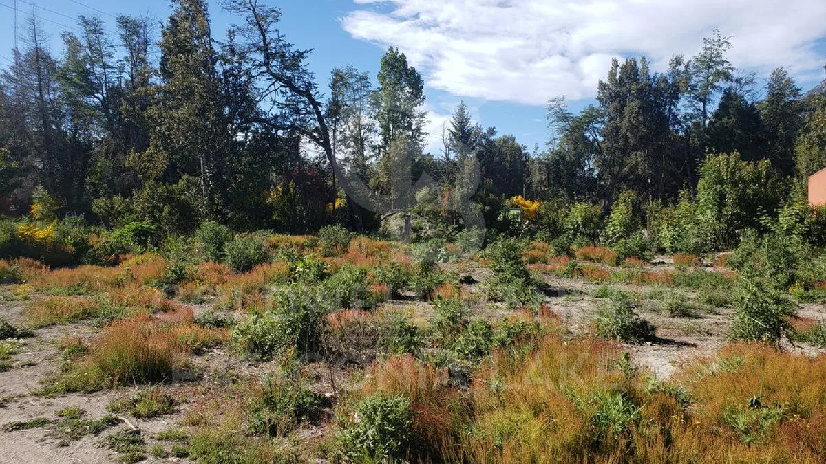 Terreno en Cacique Antriao 600, Villa la Angostura