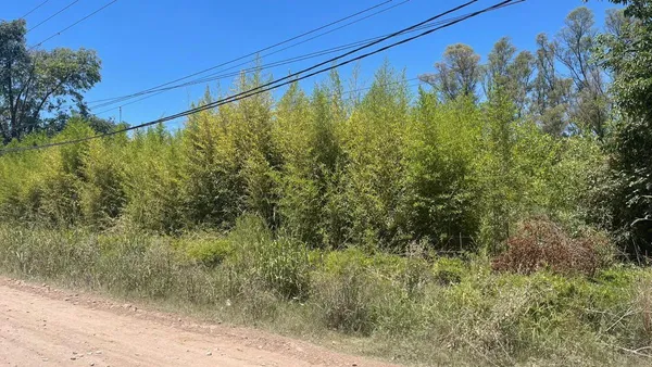 Terreno en Mitre al 100