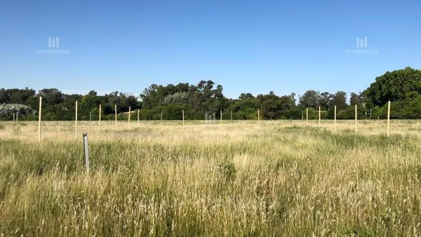 Terreno en FINCAS DE BOOTE Boote